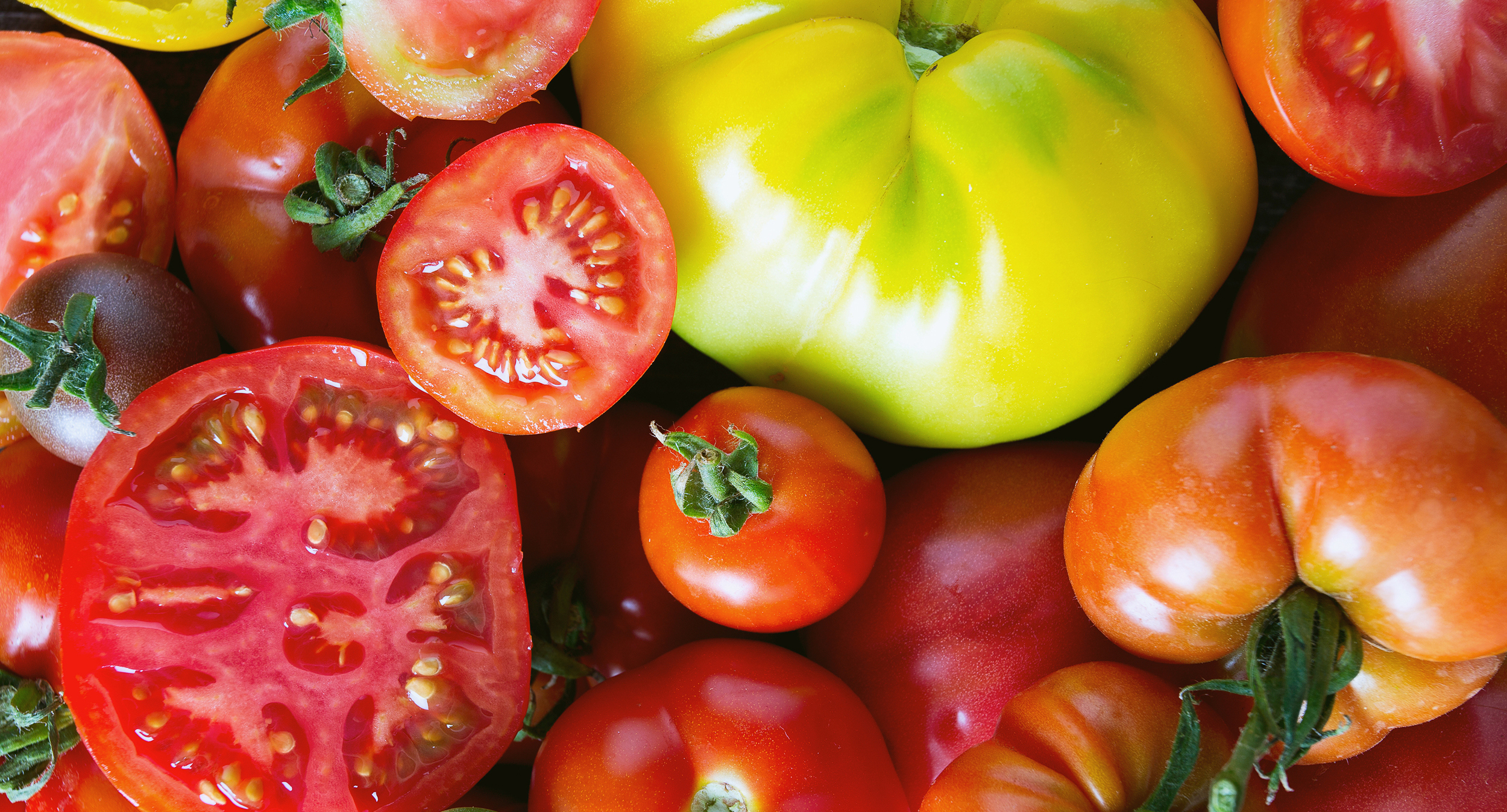 Heat Waves Are Here. Can Tomatoes Keep Up?