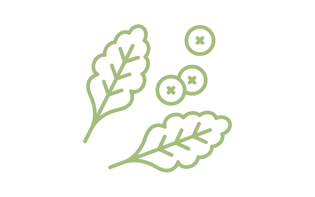 Icon of food