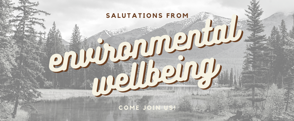 Image of mountains with title "environmental wellbeing"