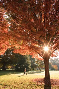 Wake Forest freshman Megan Mancosh ('13) walks across Davis Field on her way to class on Thursday, October 29, 2009.