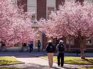 State of the University