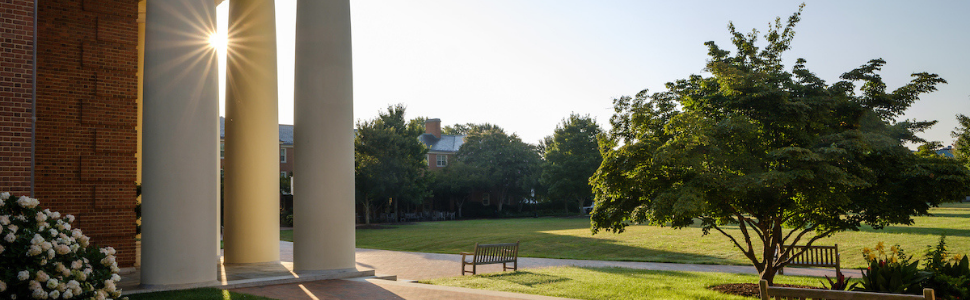 Alumni Career Advisers