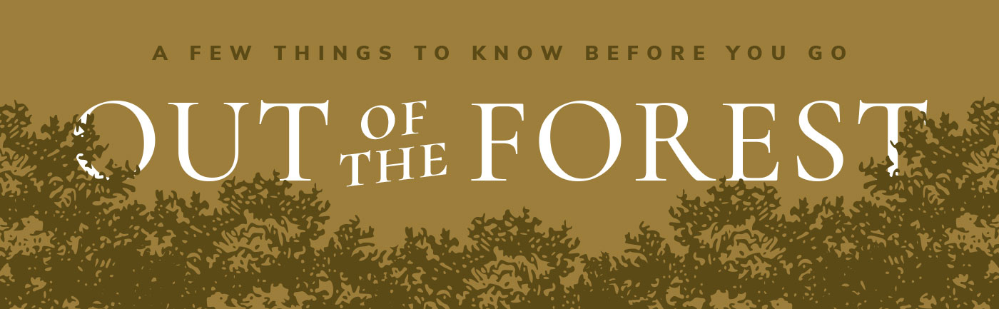 Out of the Forest written over a gold box with image of trees below