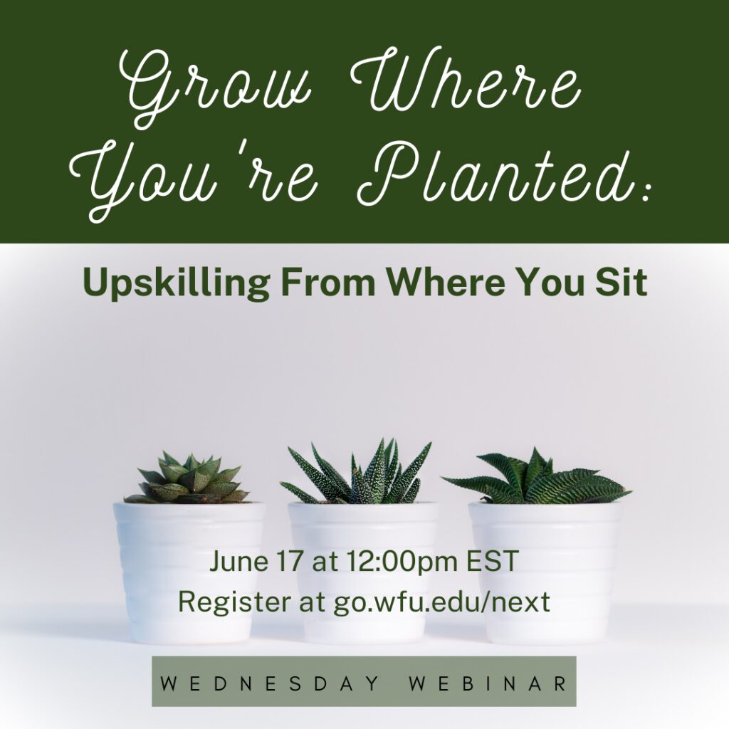 Grow From Where You're Planted: Upskilling From Where You Sit