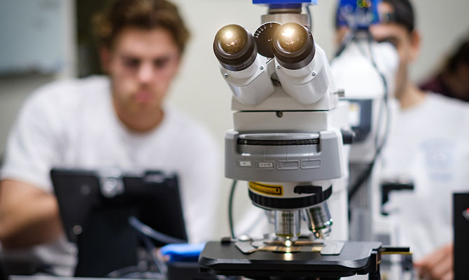 Wake Forest biology students work in the microscopy lab viewing flagellar parasites