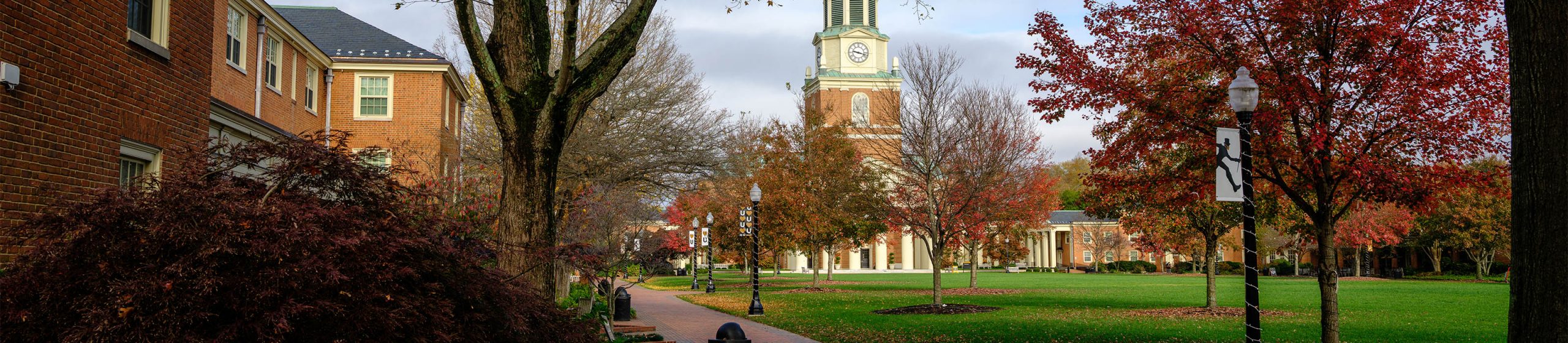 Wake Forest University