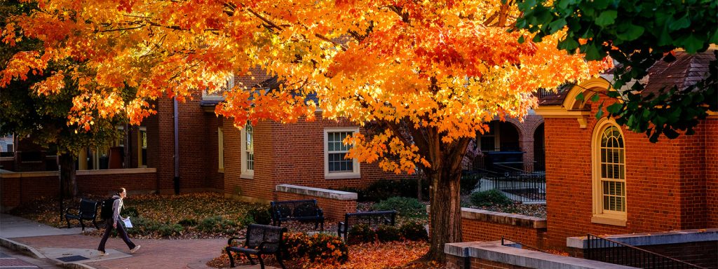 Wake Forest campus in the fall