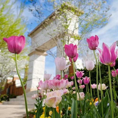 The Arch, a prominent structure that serves as the entrance to Hearn Plaza.