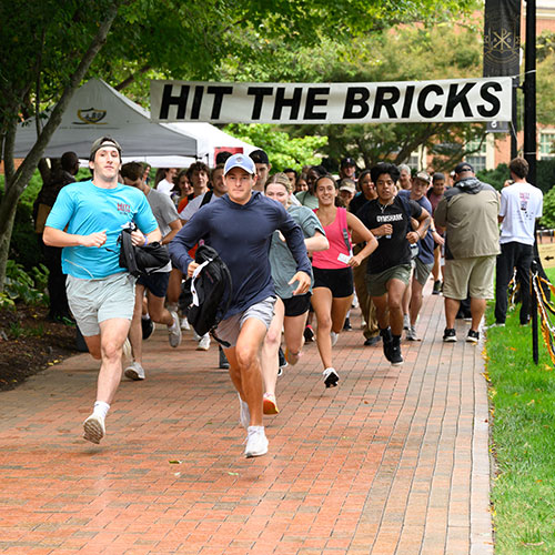 Hit the Bricks