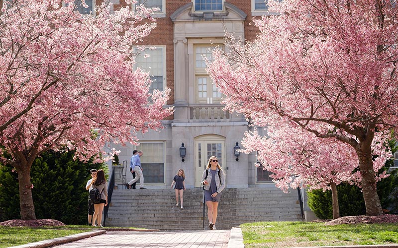 Wake Forest campus in the spring