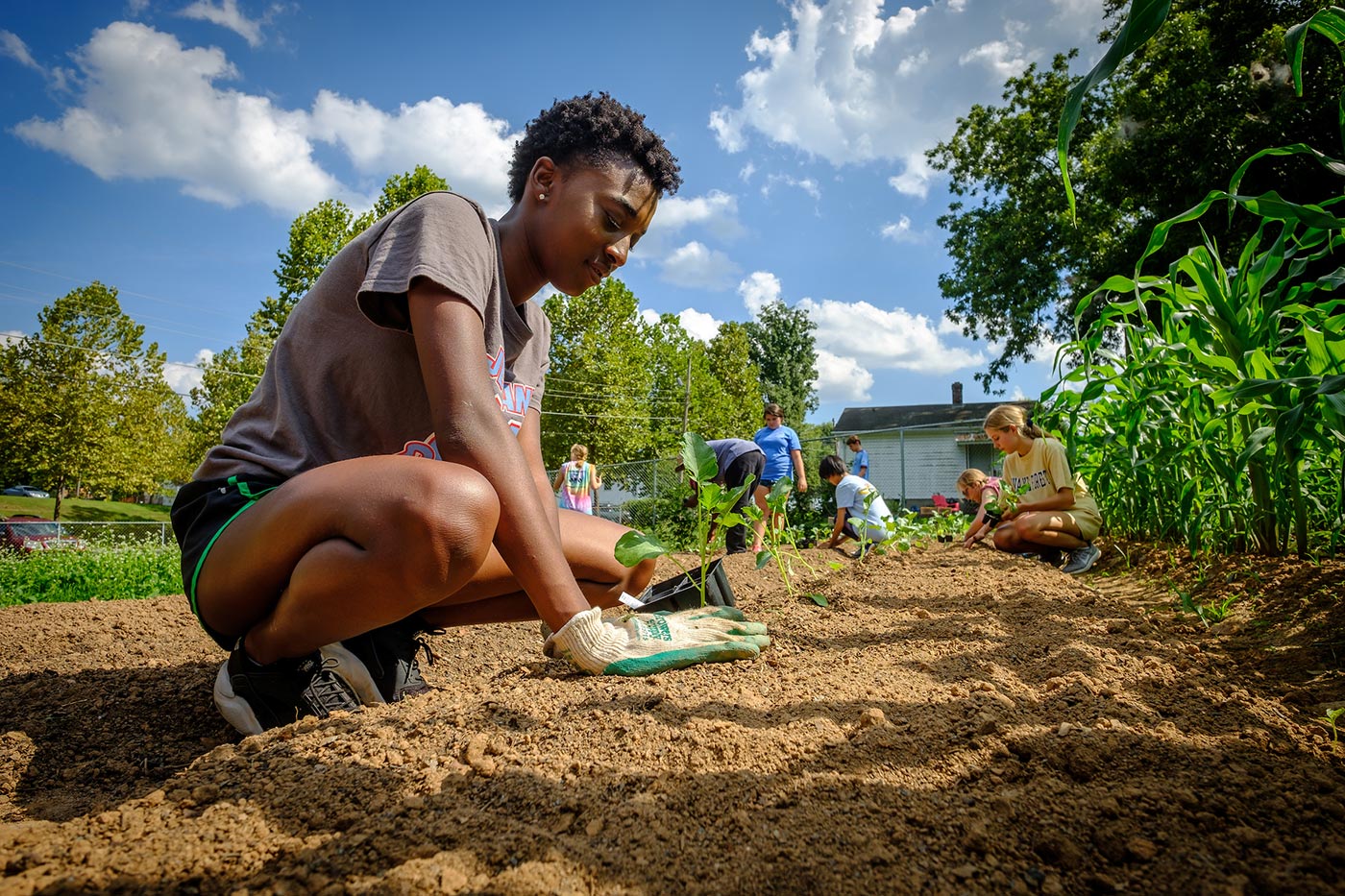 Wake Forest first year students in the SPARC pre-orientation group work in the campus garden.