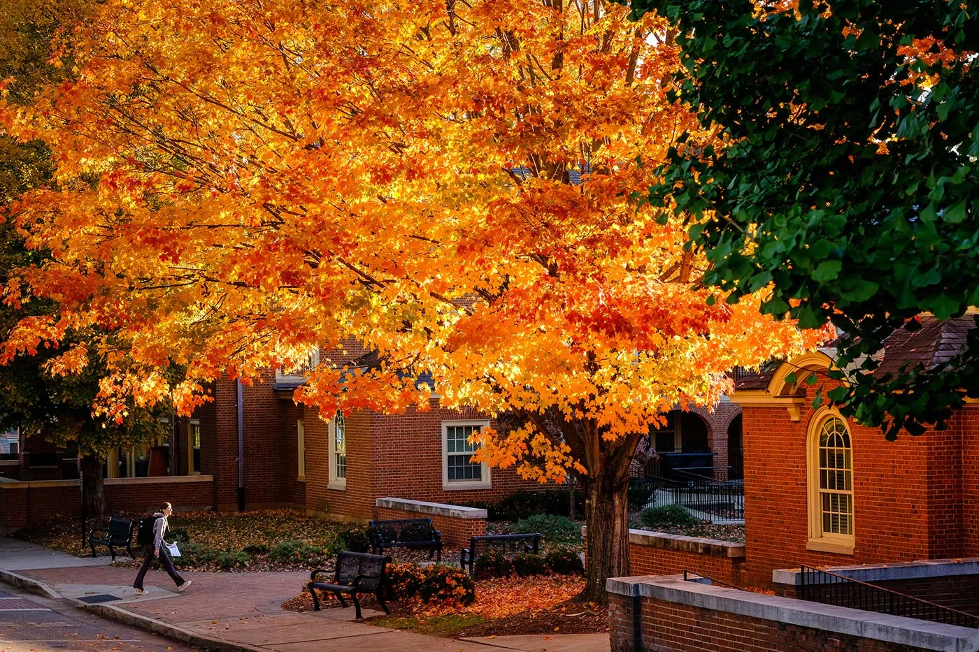 Fall foliage illuminates the campus of Wake Forest University.