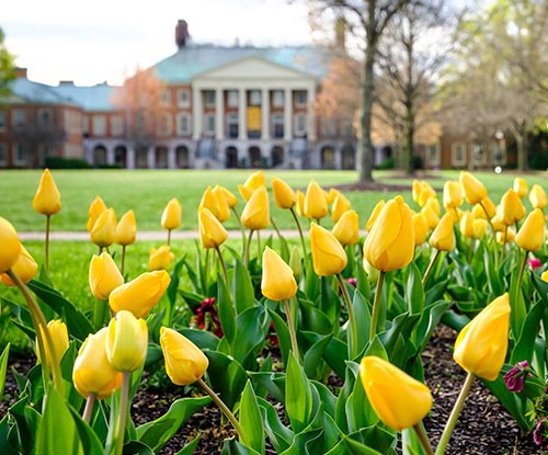 Hearn Plaza with Reynolda Hall in the distance
