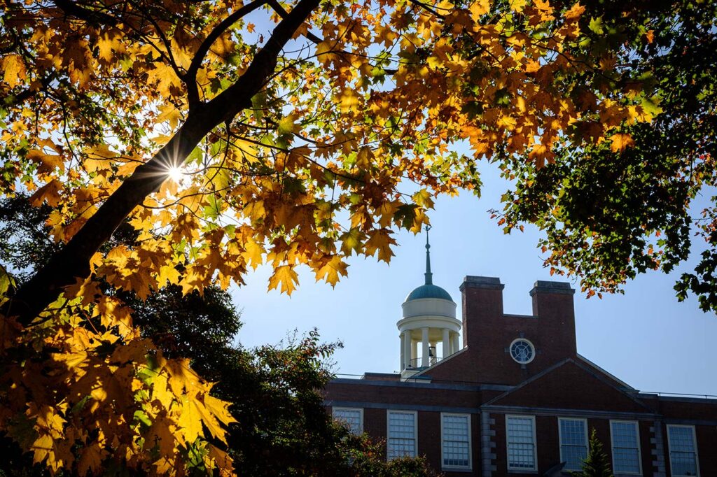 Fall in the Forest. The ZSR cupola can be seen in the background.