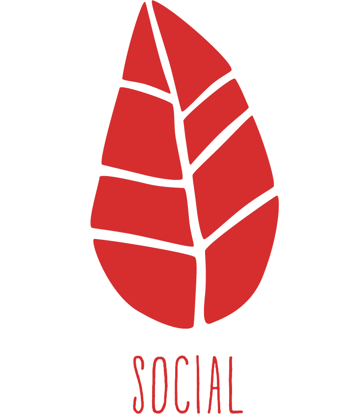 Social Wellbeing Leaf