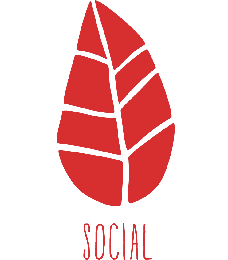 Social Wellbeing Leaf