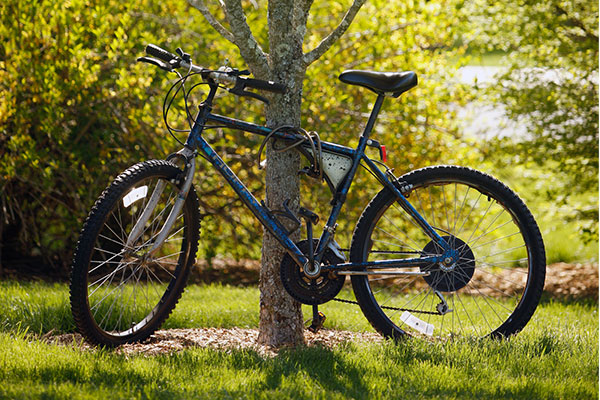  Student's bike on the campus of Wake Forest University.