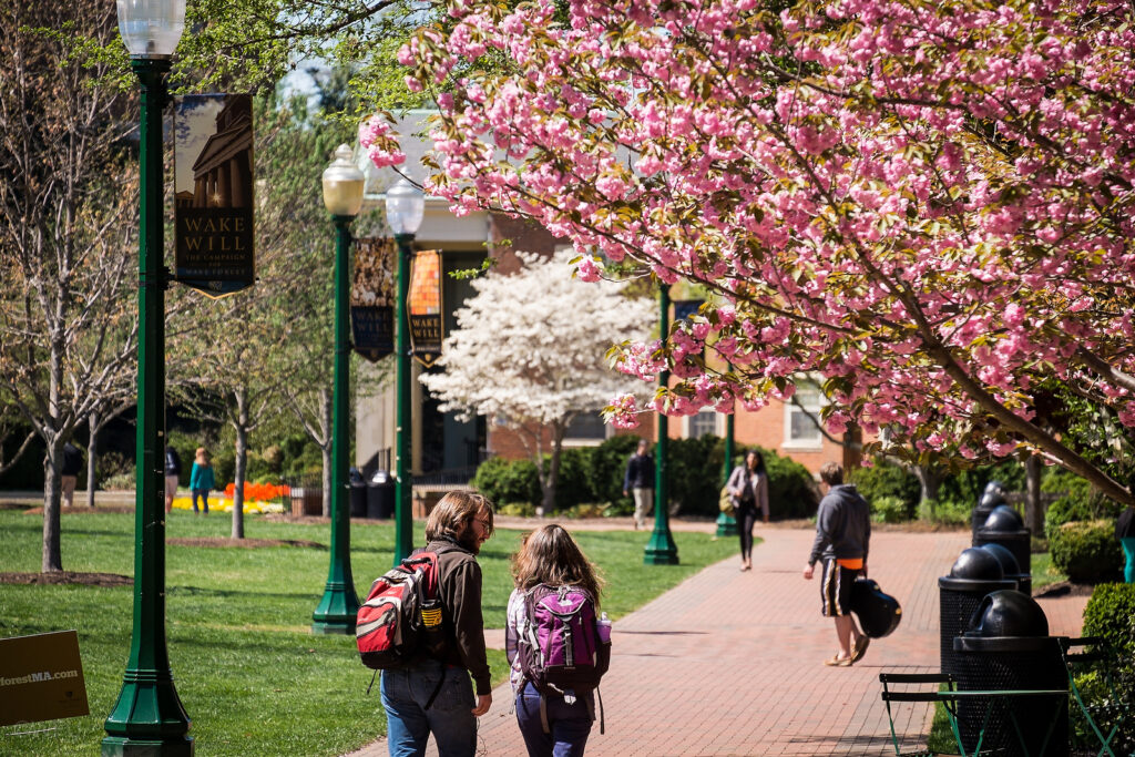 Students walking around campus in the spring. 