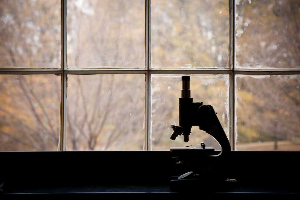 Microscope in a biology lab