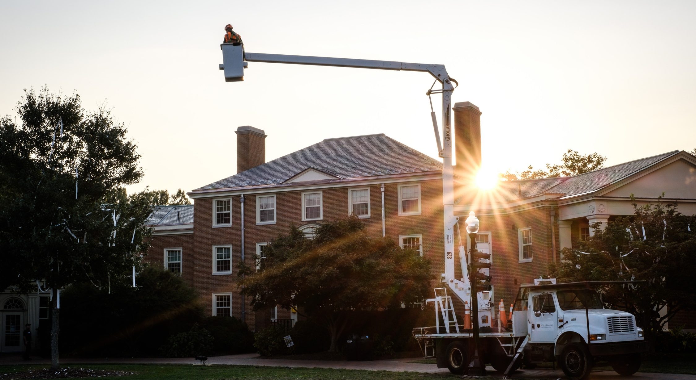 guy up in a tree truck