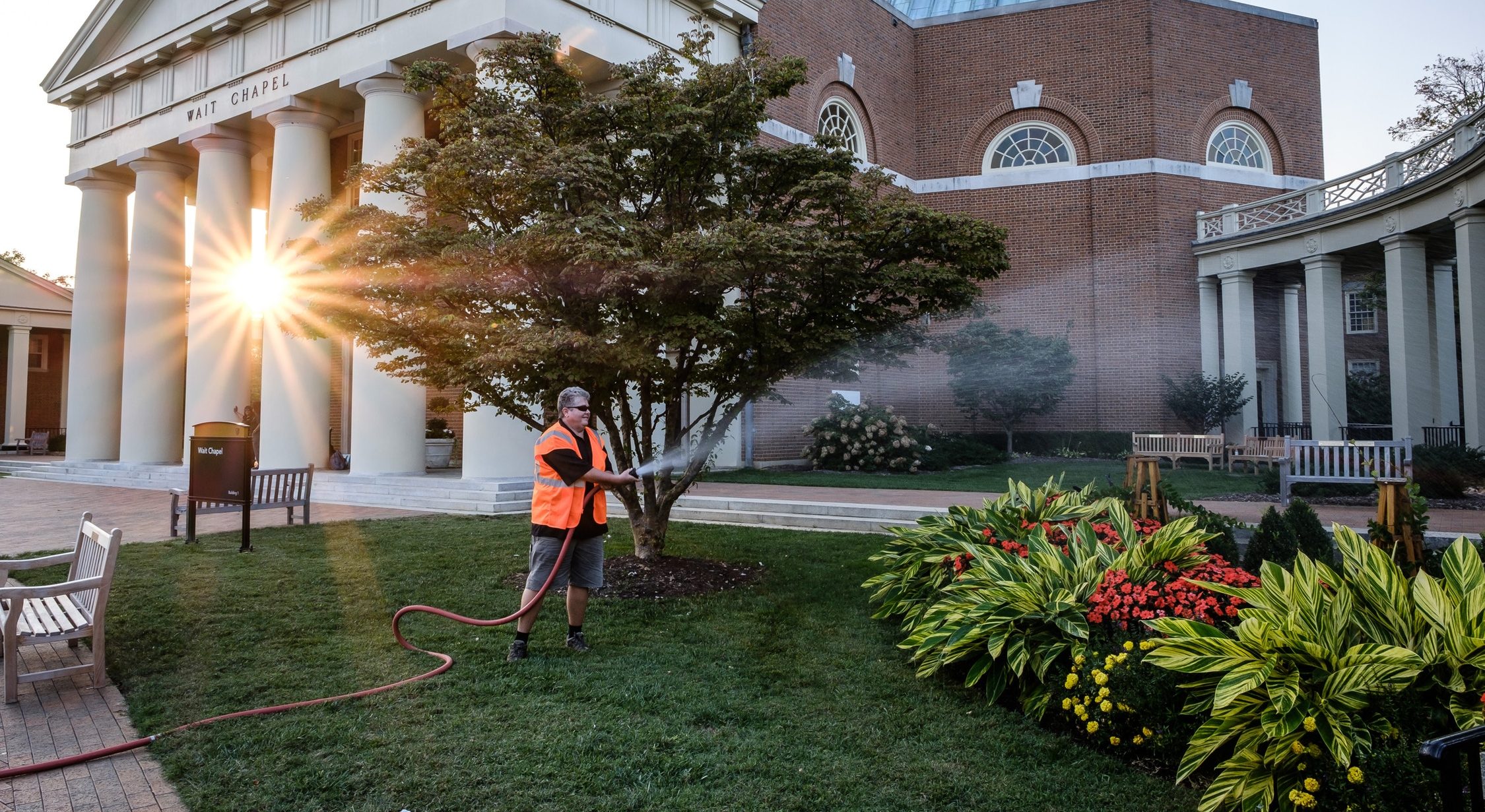 emily on horticulture watering
