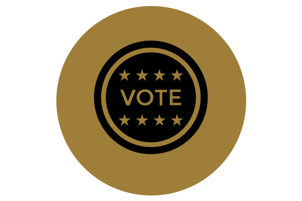 Voter Engagement and Education