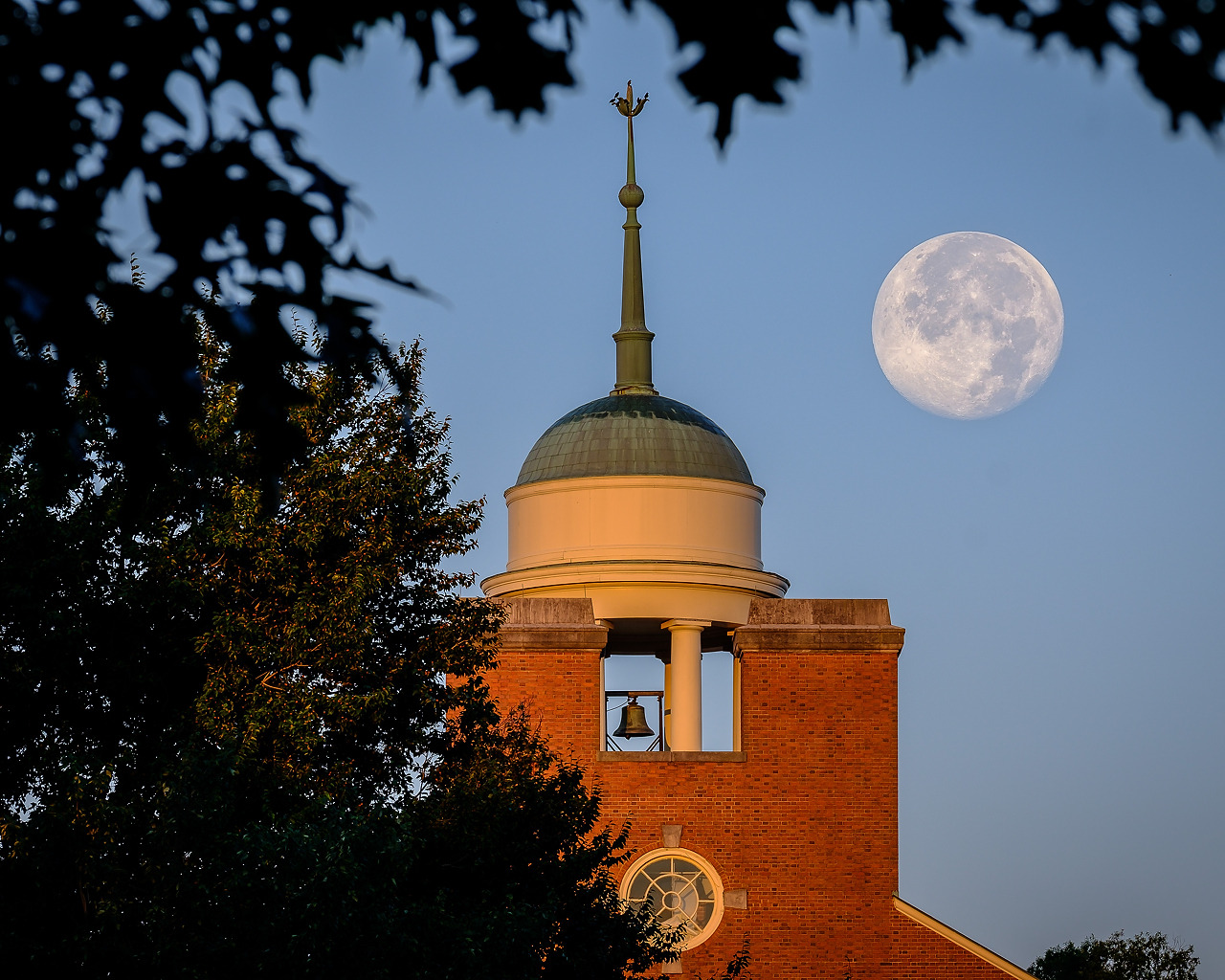 Library-with-moon