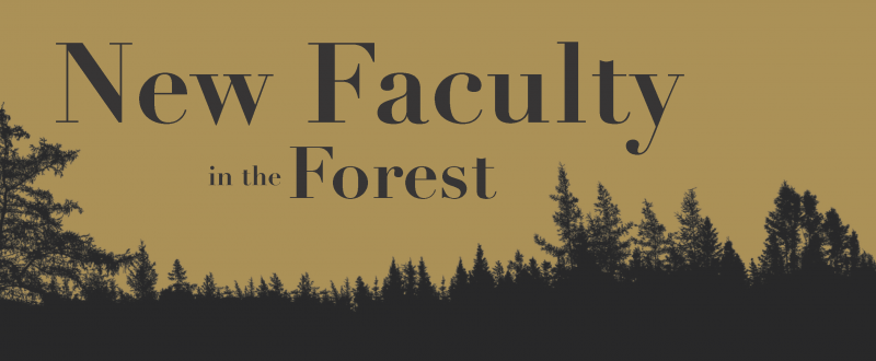 New Faculty in the Forest logo