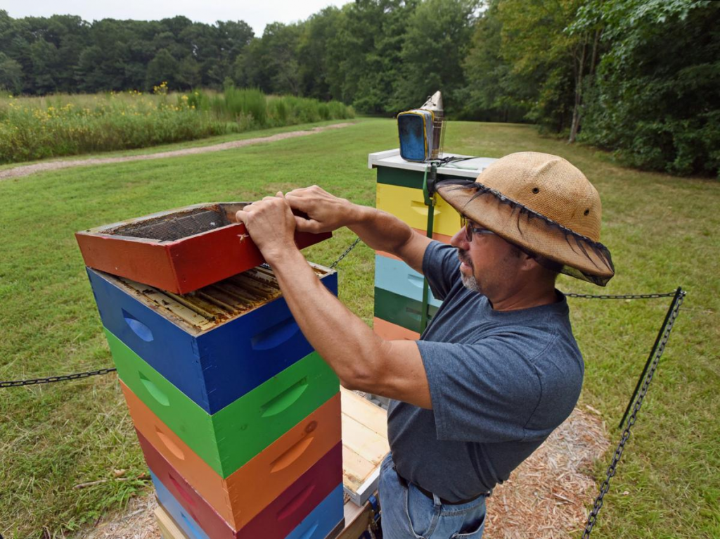 Beekeeper David Link