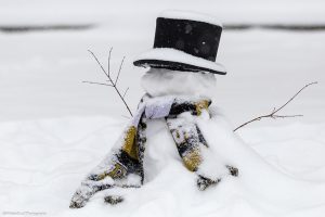 The WFU Deacon as a snowman, photo by Mitchell Loll