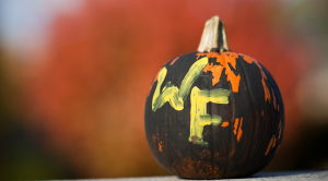 A pumpkin decorated in WFU colors and the WFU athletics logo