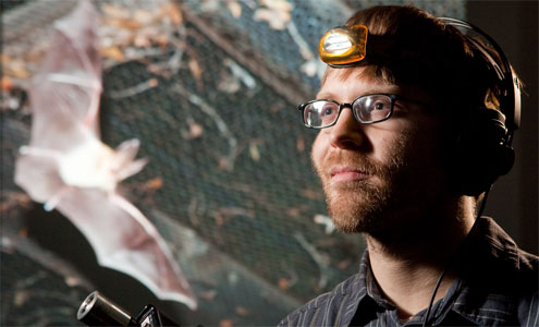 Biology graduate student Aaron Corcoran conducts research on bats and moths with professor William Conner. (Photo illustration by Ken Bennett.)