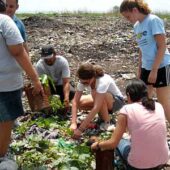 Students collect plants from La Chureca in Managua (the city dump) to be replanted as part of a beautification project at a local school.