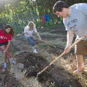 Wake Forest students gardening