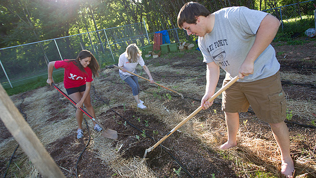 Wake Forest students gardening