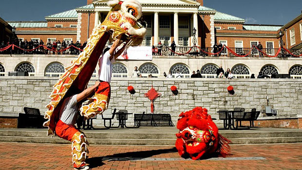 Lion Dance Performance