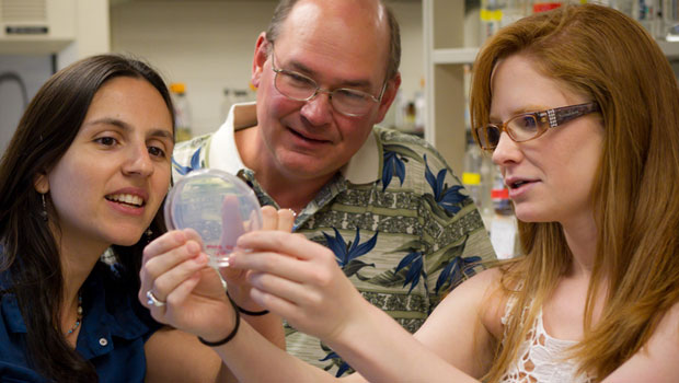 Chemistry professors Patricia Dos Santos and Bruce King with senior chemistry major Allison Faig