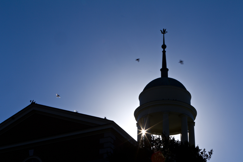 wake forest weather