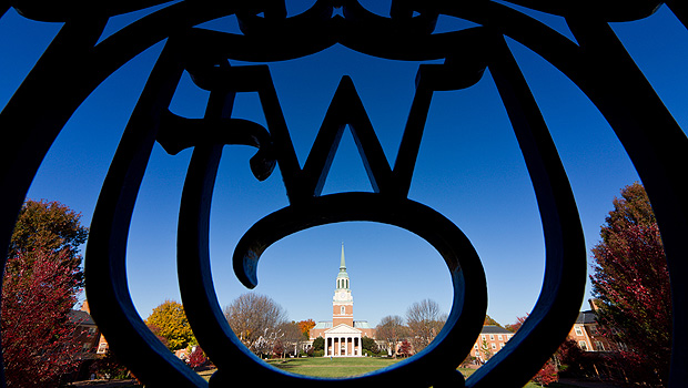 Wake Forest ironwork