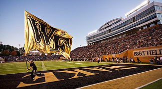 A cheerleader carries the WF flag at a football game.