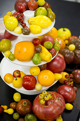 Tomatoes on display