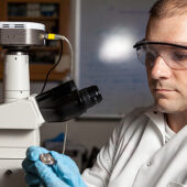 Jason Gagliano, a biology graduate student, works in a Wake Forest lab.