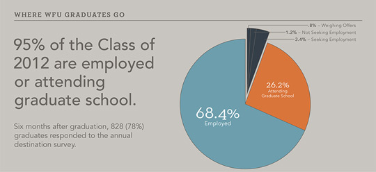 Graphic showing 95% of survey responders have jobs or are in grad school