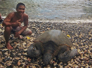 Garcia poses with a turtle
