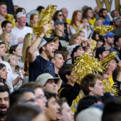 WFU students cheer at a basketball game