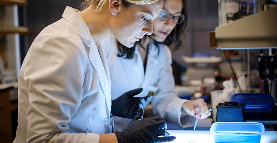 Dos Santos (right) works with Edwards in her lab at Wake Downtown.