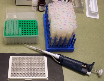 Cortisol samples in Priem's lab.