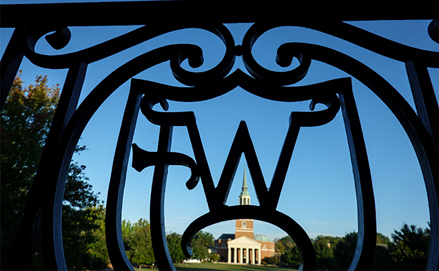 Wake Forest wrought iron