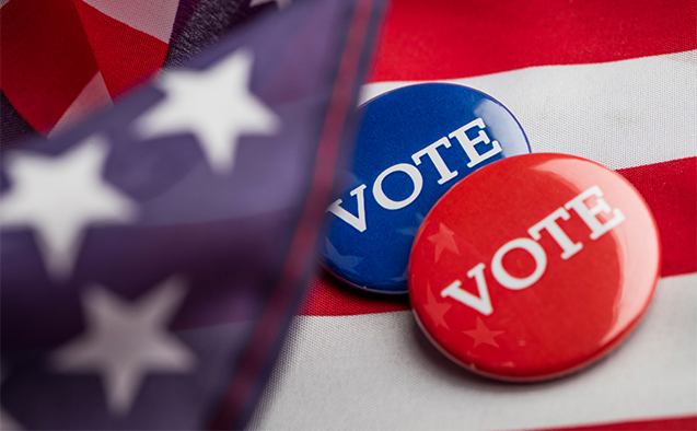 Generic election stock photo with vote buttons