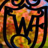 Wake Forest wrought iron logo with fall leaves